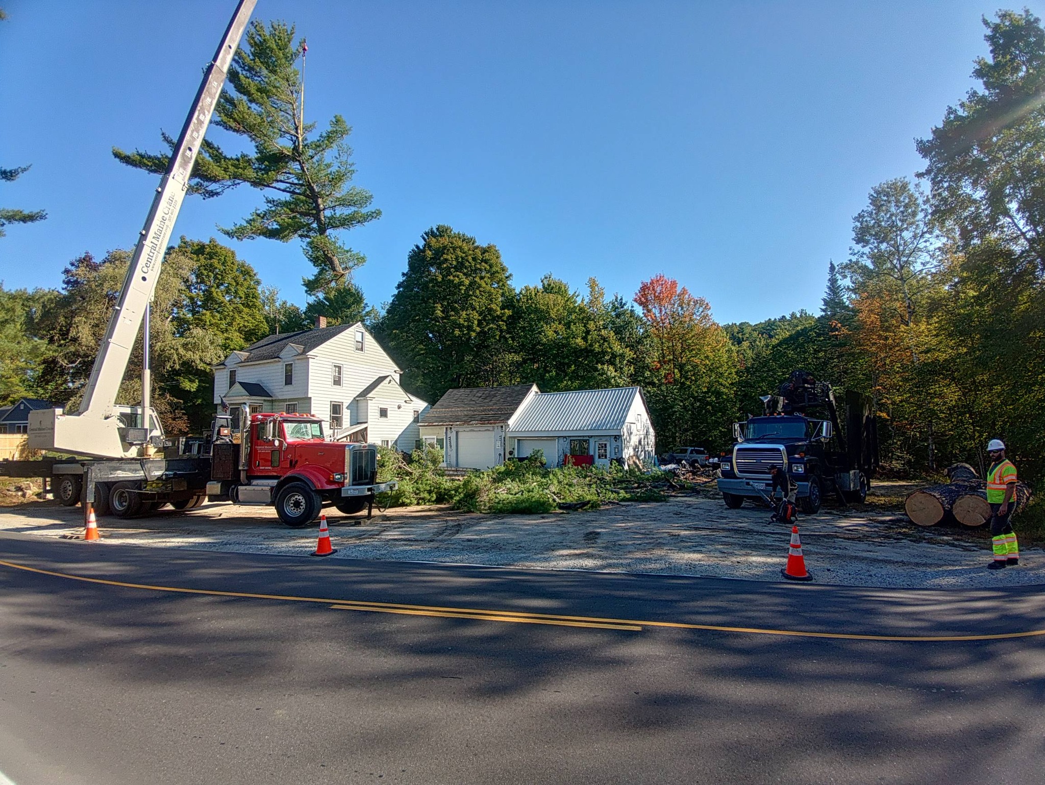 Tree Removal: work and equipment
