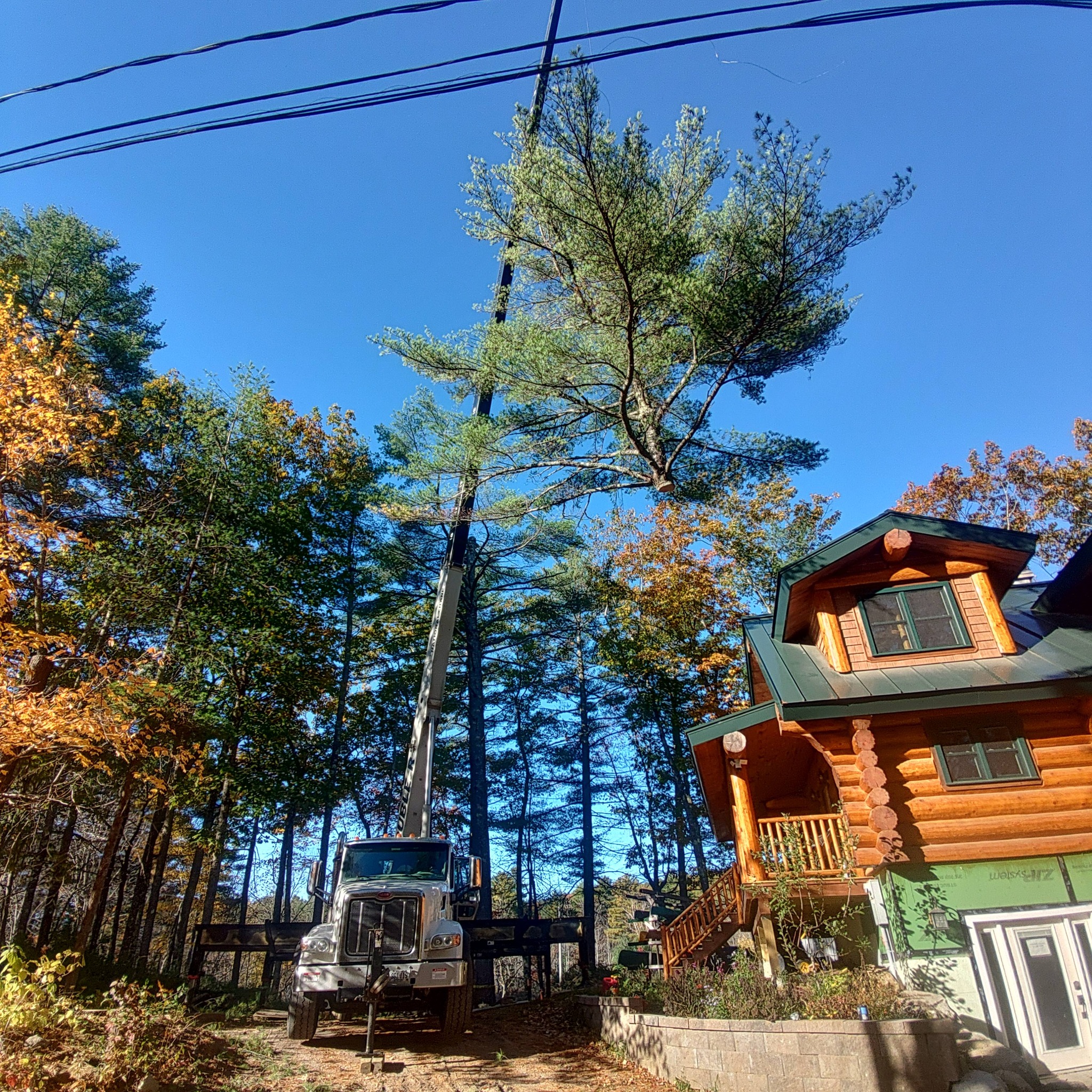 Tree Trimming & Pruning: work and equipment